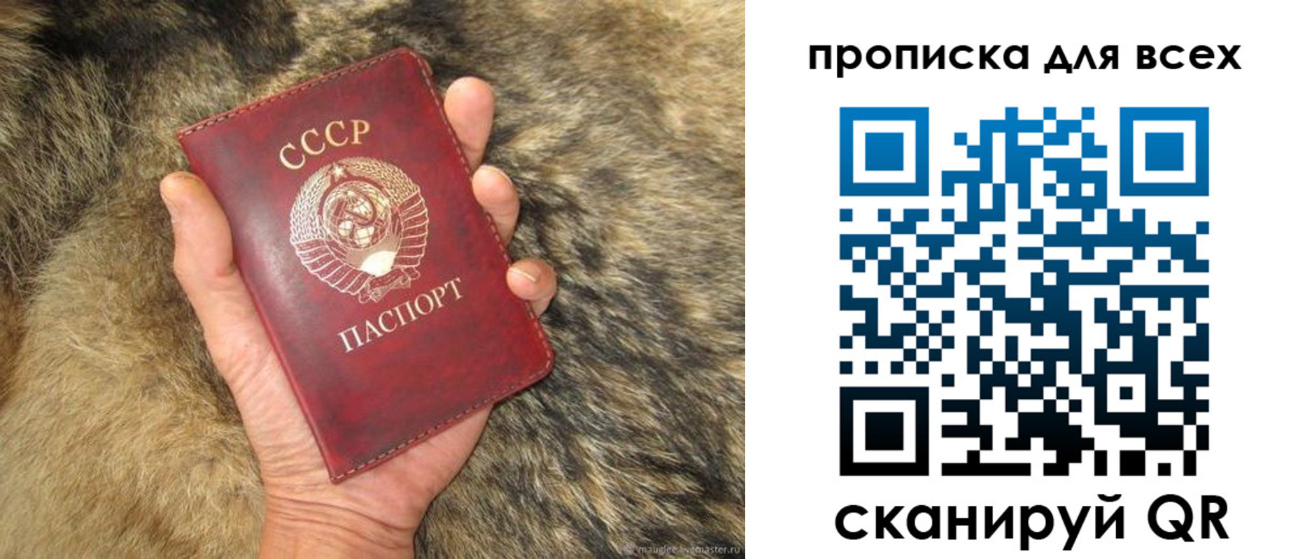 прописка в квартире в Сосновом Бору